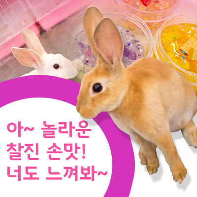 할인데뷰어 안내입니다.
asdf
asdf