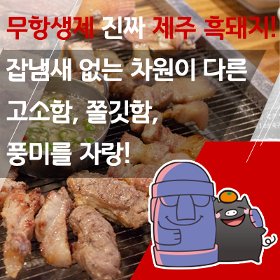 A. 제주 흑돼지 생구이 4개 + 활전복 모듬버섯 1개 + 잔치국수 2개 + 소주 1병
52,000원 상당
B. 제주 흑돼지 모듬 + 소주 1병
54,000원 상당