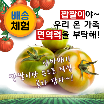 대저짭짤이 토마토 2.5kg

* 네이버 쇼핑에서 직접 구매, 리뷰 등록 후 구매금 환급