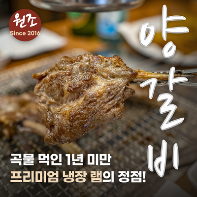 램플러스 테크노폴리스점