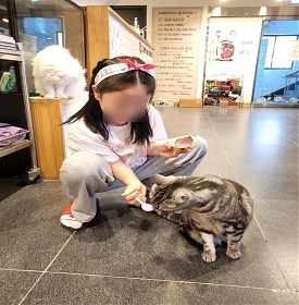 복현동만화카페 고양이가 운영하는 카페데코믹스 대구점 아이와 데이트