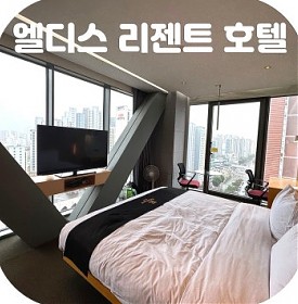 대구 호텔 대구 여행 숙소 추천 엘디스 리젠트 호텔 디럭스 더블룸 코너룸 이용 후기