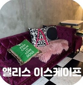 대구 시내 놀거리 앨리스 이스케이프 대구 방탈출 카페 공포 추천 왕따교실 테마 후기