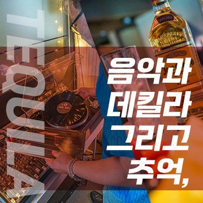데킬라 90210